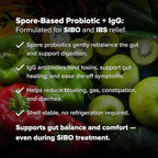 Spore Probiotic IgG by Dr. Rajsree, MD | Spore-Based Probiotic & IgG for Gut Barrier & Immune Support | 3 Bacillus Strains + Bovine Immunoglobulins | 90 Capsules