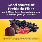 Nature Made Probiotic + Prebiotic Fiber Gummies for Daily Gut Health,Fiber Supplement with Probiotics for Digestive Health Support,50 Gummies,25 Day Supply,(Pack of 2)