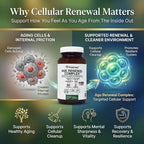 Age Renewal Complex - Cellular Renewal & Senescent Cell Removal Support - Fisetin, Quercetin, Curcumin, Zinc -Senolytic & Autophagy Aid Supplement - - Non-GMO, USA Made Glass Bottle