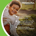 NaturesPlus Animal Parade Gold Children's Multivitamin - 120 Animal-Shaped Chewable Tablets - Assorted Cherry, Orange & Grape Flavors - Vegan, Gluten Free - 60 Total Servings