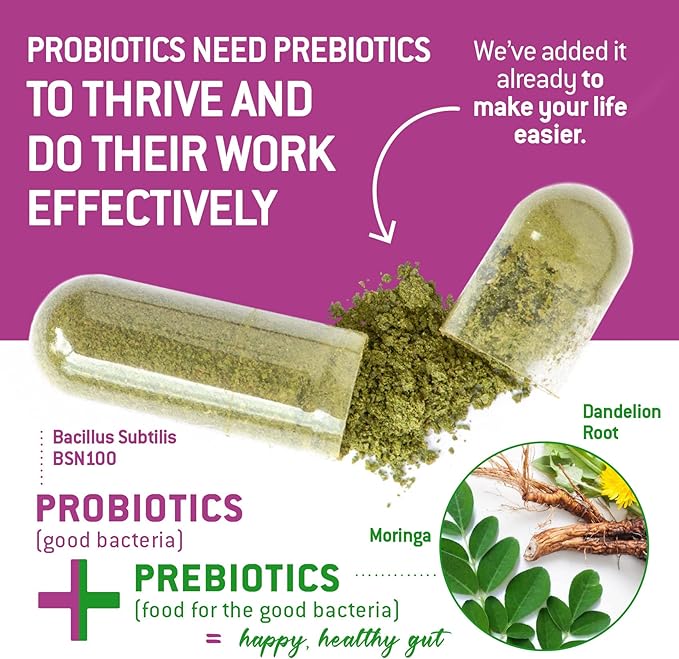 Bacillus Subtilis Spore Based Probiotic — High Potency Strain with Prebiotic for Balanced Belly | Daily Gut Health & Microbiome Support for Family | 6 Billion CFU Per Day | 90 Vegetarian Capsules