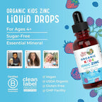 MaryRuth Organics Zinc Supplement for Immune Support, Immune Support Supplement for Kids, Ages 4-13, Zinc Sulfate, Vegan, USDA Organic, Glycerin Based, 2 Fl Oz