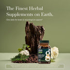 Gaia Herbs Lion's Mane Mushroom - Brain Health Support* - 120 Vegan Capsules (120 Servings)