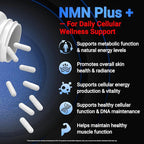 NMN Supplement, 5-in-1 Complex with NAC, Alpha Lipoic Acid, CoQ10 & Resveratrol - High Absorption Anti Aging Formula - Third Party Tested, cGMP, Gluten Free - 60 Capsules
