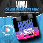Animal Creatine Chews Tablets - Enhanced Creatine Monohydrate with AstraGin to Improve Absorption, Sea Salt for Added Pumps, Delicious and Convenient Chewable Tablets - Fruit Punch