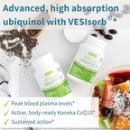 Igennus Advanced VESIsorb Ubiquinol 100mg 90 Softgels, 600% Bioavailability, Fast-Acting Water-Soluble Coenzyme Q10 Supplement for Energy & Heart, 3-Month Supply