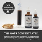 Hodgins Harvest Organic Lion's Mane Fruiting Body Extract Tincture - Mushroom Supplement for Brain Health and Mental Focus - Dual Extract Formula - Extra Concentrated - 2 fl oz Bottle