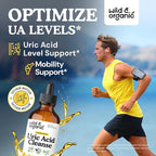 Wild & Organic Uric Acid Cleanse Liquid Drops - Tart Cherry, Turmeric, Celery, Chanca Piedra, Dandelion Root Extract Complex - Uric Acid Supplement - Vegan, Sugar & Alcohol-Free Tincture - 4 fl oz