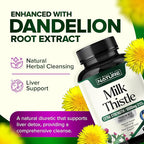 Built by Nature Milk Thistle Liver Detox Supplement with Silymarin Extract & Dandelion Root – Gentle Herbal Liver Cleanse for Men & Women - Liver Health Support - Non-GMO - 60 Veggie Capsules