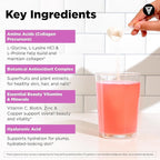 Vital Vitamins Vegan Collagen Booster Powder (2-Pack) - Made with Amino Acids, Silica, Hyaluronic Acid, & Botanical Extracts - Plant-Based - Mango Raspberry Lemonade Flavor - Hair, Skin, Nails