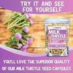 XPRS Nutra Milk Thistle Seed Capsules - 180 Count (3 Month Supply) Premium Milk Thistle Supplement Rich in Silymarin to Support the Liver and Digestion - Pure, Non-GMO Cardo Mariano Pills