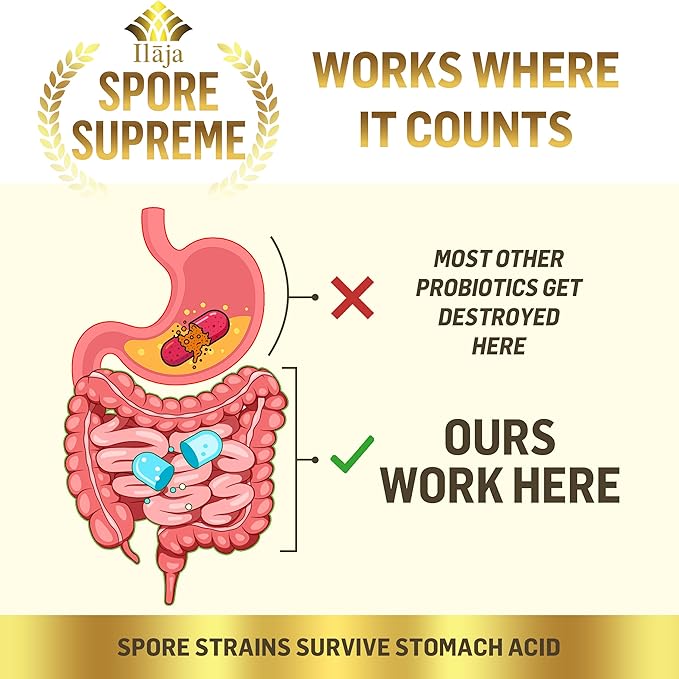 Spore Supreme Spore Based Probiotic 120 Capsule x 10 Billion / 4 Strain Formula - 4 Month Supply - No Refrigeration Needed, Acid Resistant Strains, Dairy Free
