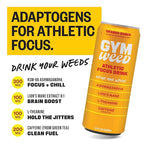 GYM WEED Athletic Focus Drink with KSM-66 Ashwagandha, Lion's Mane Mushroom, L-Theanine, 200mg Green Tea Caffeine with Natural Sweeteners Variety Pack of flavors, 12 Pack