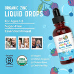 MaryRuth Organics USDA Toddler Liquid Drops | Zinc Sulfate | Immune Support Supplement| Skin Health | Vegan | Formulated for Ages 1-3 | Delicious Berry Flavor | 1 Month Supply | 2 Fl Oz
