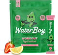Waterboy Workout Hydration | 2,960mg Sugar Free Electrolyte Powder Packets | L-Glutamine + Vitamins | No Sugar, All Natural, Gluten Free | 15 Drink Stick Mixes (Strawberry Lemonade)