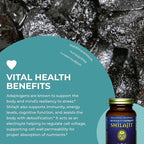 HealthForce SuperFoods Shilajit - 120 VeganCaps