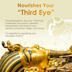 Ultra-Pure, 99.9% Liquid Gold - 24K Monoatomic Gold Ormus - Third Eye Awakening, Pineal Gland Decalcification, Awaken DNA, Unlock Light Speed Manifestation - Pharaoh's Nectar XT, 3 Pack