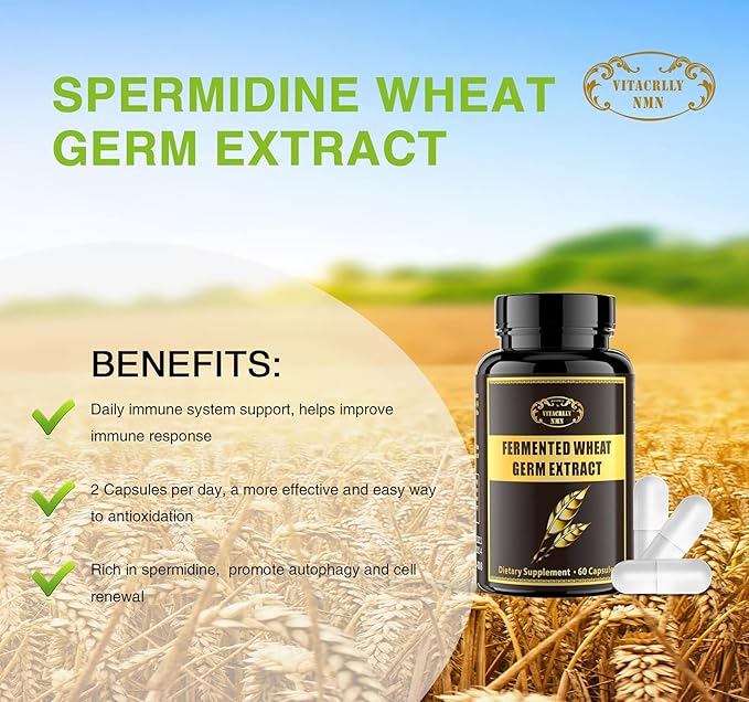 Spermidine Supplements - Wheat Germ Extract Capsules 1000mg Potent Formula with 10mg Higher Spermidine & Zinc for Antioxidant, Cell Renewal, Immune System and Increases Energy 240 Capsules (4 Bottles)