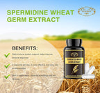 Spermidine Supplements - Wheat Germ Extract Capsules 1000mg Potent Formula with 10mg Higher Spermidine & Zinc for Antioxidant, Cell Renewal, Immune System and Increases Energy 240 Capsules (4 Bottles)