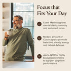 Real Mushrooms Lion’s Mane Focus Capsules (90 Count) – Organic Lions Mane Fruiting Body Extracts with 200mg Alpha GPC Choline for Mental Clarity & Daily Cognitive Function