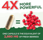 Purely Holistic Grape Seed Extract 400mg + Hawthorn Berry 665mg Bundle - 400 Vegan Capsules - Made in USA