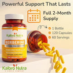 Kaibro Nutra Berberine Supplement 1000mg, Berberine HCL for Immune System, Glucose Support, Circulatory & Gastrointestinal Health, Vegan & Gluten-Free, 120 Capsules