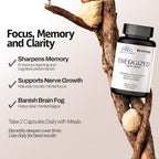 Energized Lions Mane Supplement Capsules (120ct),Brain Supplements for Memory and Focus, Nootropic for Brain Fog Relief Made in USA,30% Polysaccharides,Natural Brain Health Support