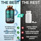 Vegan Probiotic Plus B12 & FOS - 22 Billion CFU Synbiotics Prebiotics and Probiotics for Digestive Health, IBS, Mood Support - B12 Pre Pro Post Biotics for Women & Men - 60 Gluten-Free Capsules