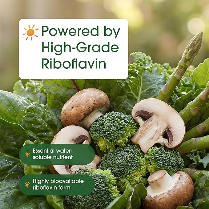 NatureBell Vitamin B2 (Riboflavin) 400mg - 240 Capsules - Supplement for Energy, Skin & Cellular Health* - Non-GMO & Gluten Free - Easily Absorbed