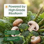 NatureBell Vitamin B2 (Riboflavin) 400mg - 240 Capsules - Supplement for Energy, Skin & Cellular Health* - Non-GMO & Gluten Free - Easily Absorbed