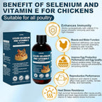 E+S Poultry Vitality Formula | Selenium for Chickens and All Poultry | Nutrient Support Liquid for Energy Balance and Mobility | Feed Mix Additive for Healthy Growth,3.4 fl oz