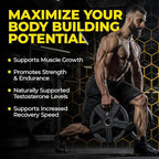 Extreme Anabolic Testosterone Booster Avry Labs Proprietary Stack w/Turkesterone to Support Muscle Growth, Strength, Recovery & Naturally Support Optimal Testosterone Levels – Vegan, 60 Capsules
