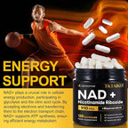TKTALKER NAD Supplement, 910MG Liposomal Nicotinamide Riboside with Resveratrol & Quercetin, Anti-Aging, Cellular Energy, Mental Focus & Stamina & Healthy, Women & Men, 120 Capsules