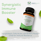 Cryptolepis Synergy, Immune Support Vitamins, Immune System Booster for Adults, Liver, Lymphatic, & Immune Support Supplement, Supports Lyme & Natural Parasite Defense, 120 Capsules