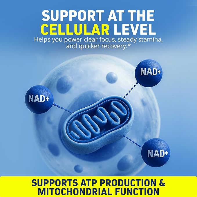 Herbtonics Liposomal NAD+ for Cellular Energy | Supports Healthy Aging, Focus & Metabolism | Liposomal Delivery - Designed for Superior Absorption | 120ML Vegan Liquid Supplement (1 Month Supply)