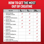 Force Factor Creatine Monohydrate Powder, 5g Micronized Dose to Support Muscle Growth, Strength, Recovery, Cognitive Health & Working Memory, Raspberry Lemonade, 100 Servings