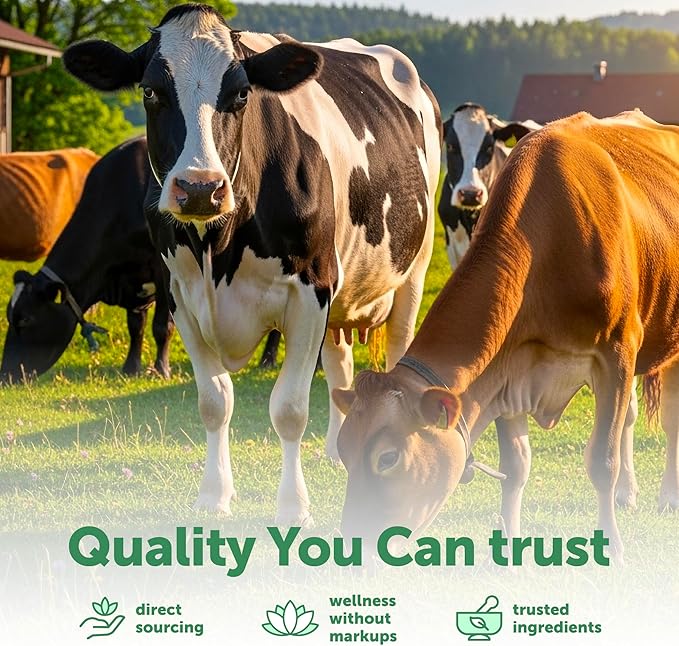 Micro Ingredients Bovine Colostrum 1,000 mg Per Serving, 240 Capsules | 40% IgG First Milking with Collagen & Probiotics | Colostrum Supplement with 10 Probiotic Strains | Non-GMO, Gluten Free