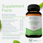 Cryptolepis Synergy, Immune Support Vitamins, Immune System Booster for Adults, Liver, Lymphatic, & Immune Support Supplement, Supports Lyme & Natural Parasite Defense, 120 Capsules