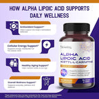 Alpha Lipoic Acid Acetyl-L-Carnitine - Support Bladder Cleanse, Urinary Tract Health - 180-day Supply
