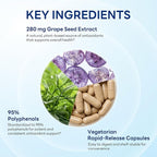 Vitamin World Grape Seed Extract, 95% Polyphenols, Supports Heart Health & Antioxidant Protection, Gluten-Free, Vegetarian, 100 Servings