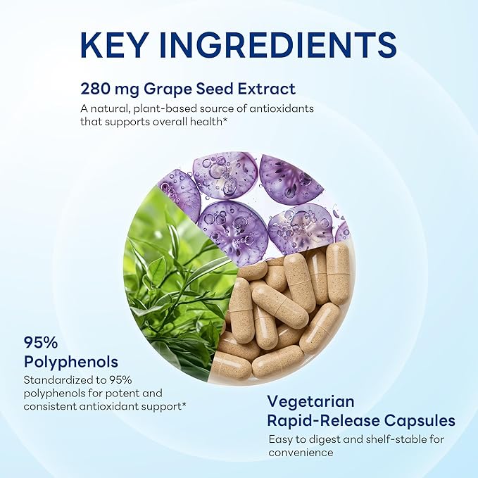 Vitamin World Grape Seed Extract, 95% Polyphenols, Supports Heart Health & Antioxidant Protection, Gluten-Free, Vegetarian, 100 Servings