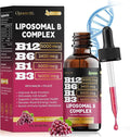 Liposomal Vitamin B12 Sublingual Methylcobalamin – Vitamin B Complex Liquid Drops with B6, B1 & B3 – Fast Absorption B12 Vitamins for Energy, Focus, Brain & Heart Support – Organic, Non-GMO, 2 fl oz