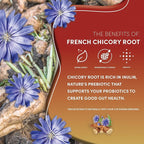 Teeccino Organic Mushroom Herbal Tea, Chaga Ashwagandha, Butterscotch Cream, Caffeine Free, 25 Tea Bags, 5.3 oz (150 g)