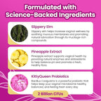 KITTYQUEEN Slippery Kitty Feminine Probiotic and Moisture Gummies, Pineapple Flavor, Women’s Probiotic Gummies for Vaginal Health, pH Balance, Odor Control, Flora Support and Moisture Boost, 60 Count
