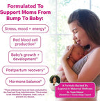 Pink Stork Fertility + Prenatal + Postnatal Gummy Vitamins – Full Motherhood Journey Support – Multivitamin with Folate, B Vitamins, Zinc & Biotin – Postpartum Essentials - 60 Assorted Fruit Gummies