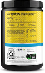 Optimum Nutrition Amino Energy Powder Plus Focus, with BCAA, Electrolytes, and Caffeine, Pineapple Twist, 30 Servings (Packaging May Vary)