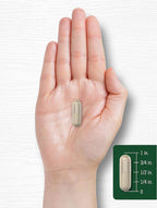 Carlyle Silica Supplement Capsules | 200 Count | from Horsetail Extract | Non-GMO & Gluten Free