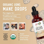 MaryRuth Organics Lions Mane Mushroom Supplement, Up to 1 Month Supply, Nootropic USDA Organic Lions Mane Extract Nervine Herbal Liquid Drops, Brain Health Non-GMO Vegan Alcohol Free Tincture, 1 Fl Oz