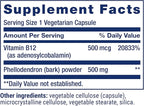 Life Extension Dopamine Advantage, Cognitive Health, Mental Sharpness, Motivation, Vitamin B12, phellodendron bark Powder, Gluten Free, Non-GMO, Vegetarian, 30 Capsules