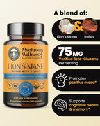 Mushroom Wellness Lion’s Mane Blend with Reishi: Organic Lion's Mane & Reishi Mushroom Capsules, Mushroom Powder Supplement, Supports Cognitive Health, Memory, and Mental Focus, 90 Vegan Capsules